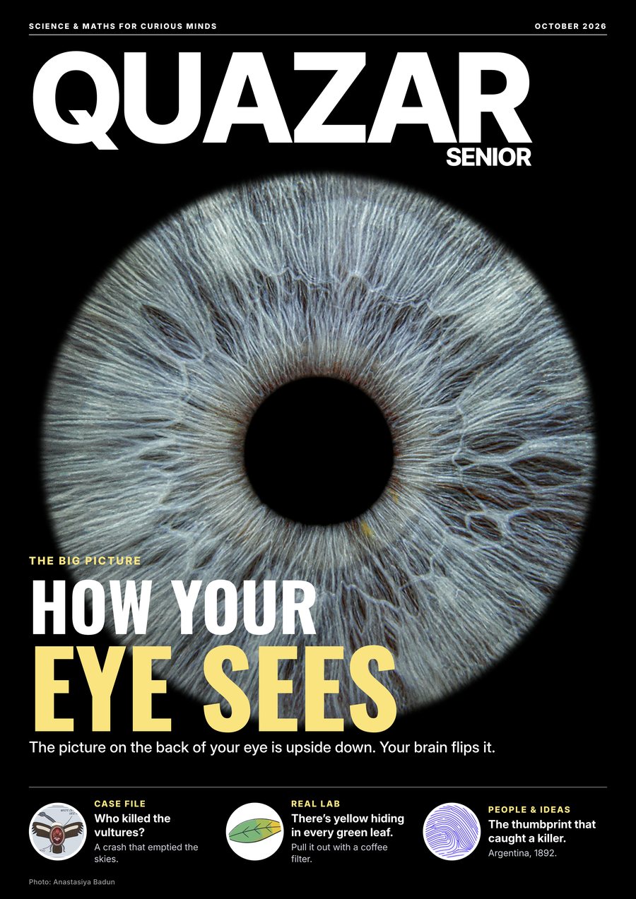 Quazar Senior, October 2026