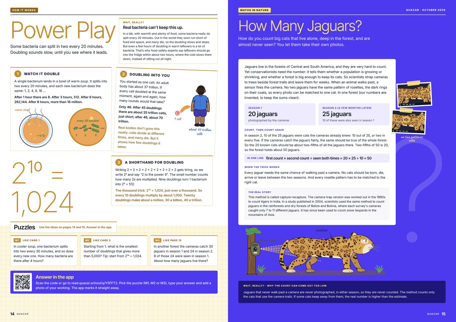 Quazar's puzzle pages, 14 and 15