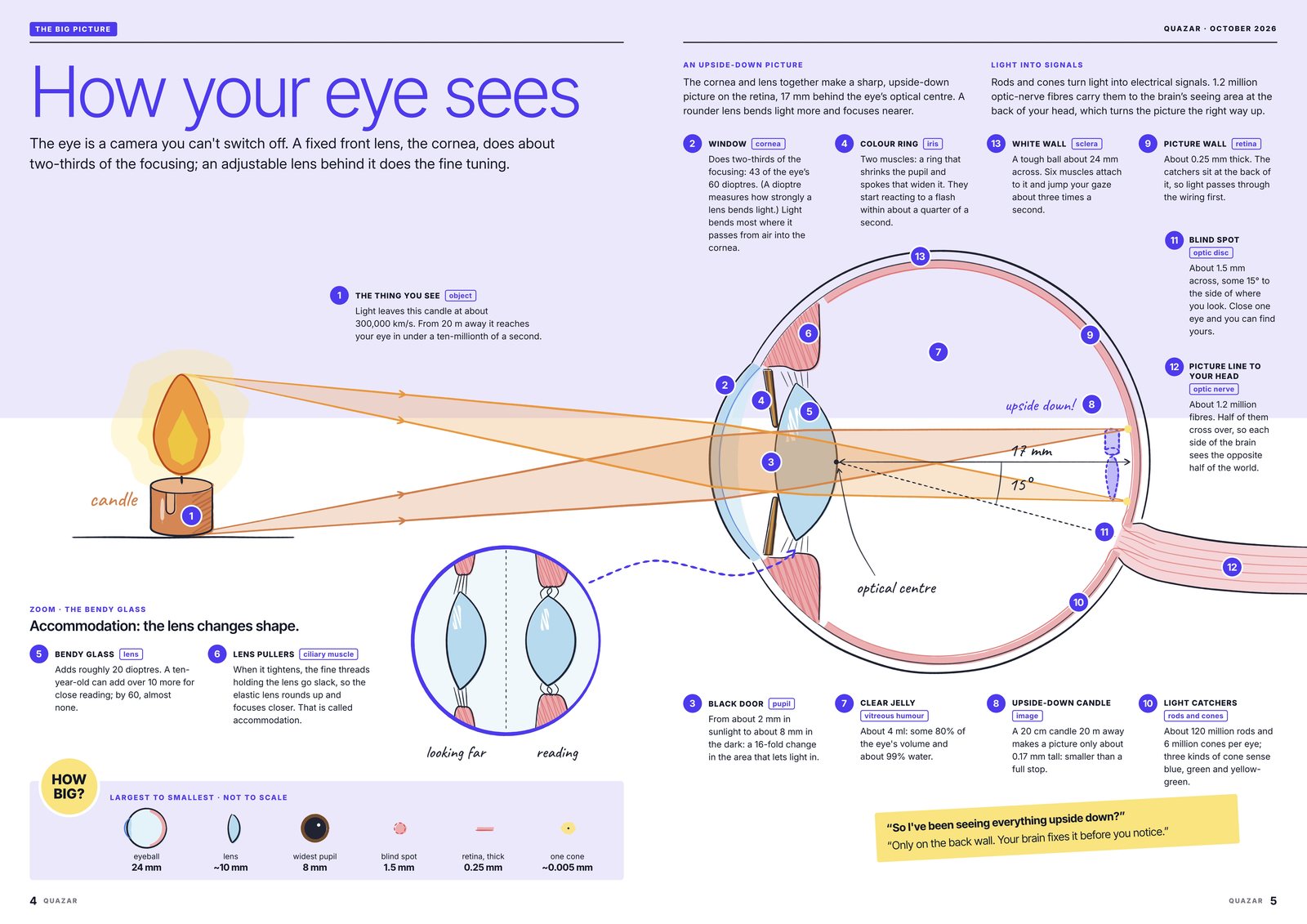 A page from Quazar: How your eye sees